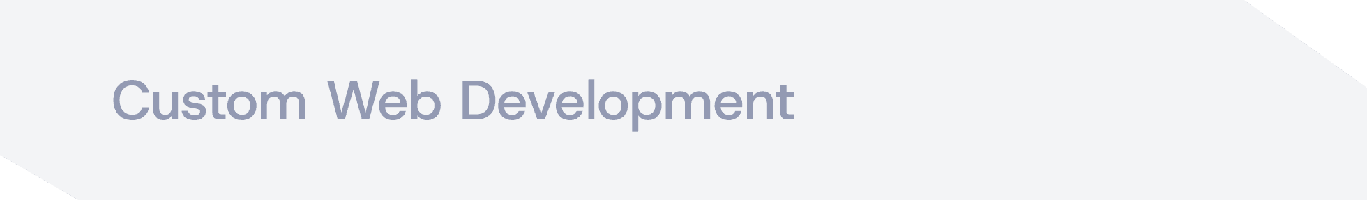 Custom web Development
